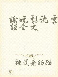 谢晚梨沈云迟小说全文