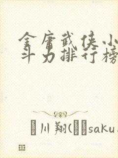 金庸武侠小说战斗力排行榜封面