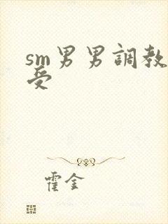 sm男男调教强受封面