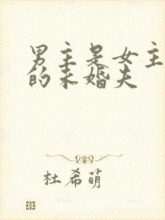 男主是女主姐姐的未婚夫封面