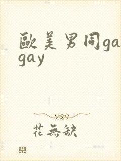 欧美男同gaygay