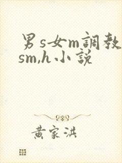 男s女m调教(sm,h小说