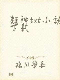 类神txt小说下载