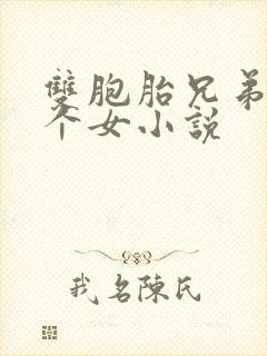 双胞胎兄弟和一个女小说
