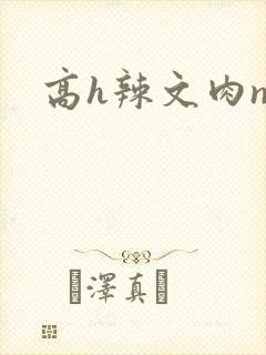 高h辣文肉np
