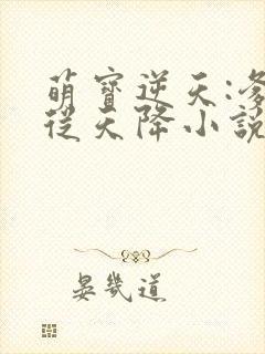 萌宝逆天:爹地从天降小说封面