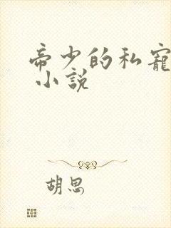 帝少的私宠甜妻 小说