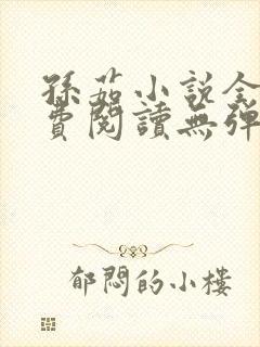 孙茹小说全文免费阅读无弹窗封面