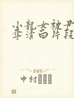 小龙女被尹志平夺清白片段是哪一集