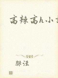 高辣高h小说封面
