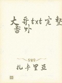 大哥txt完整 番外