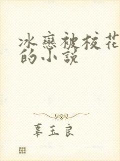 冰恋被校花宰杀的小说