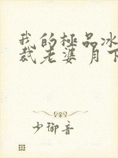 我的极品冰山总裁老婆 月下火封面