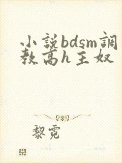 小说bdsm调教高h主奴