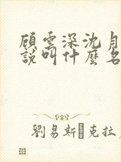顾云深沈月西小说叫什么名字