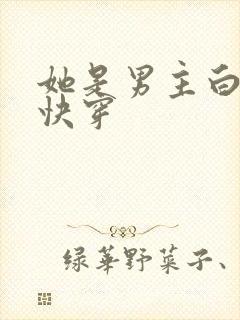她是男主白月光快穿
