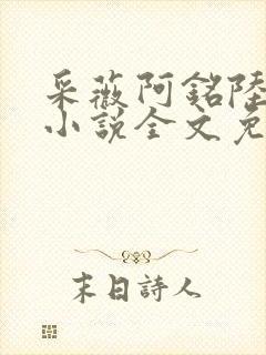 采薇阿铭陆三平小说全文免费阅读