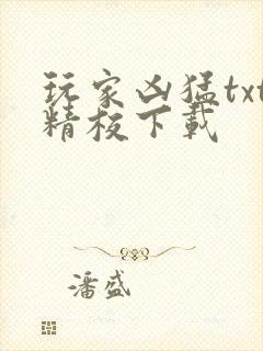 玩家凶猛txt精校下载封面