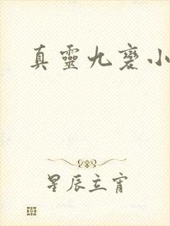 真灵九变小说版