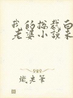 我的总裁白富美老婆小说未删减完整版