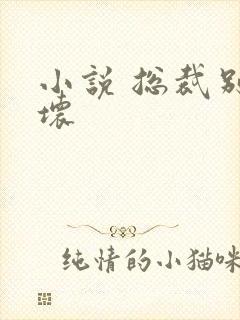 小说 总裁别太坏