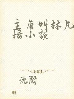 主角叫林凡的官场小说