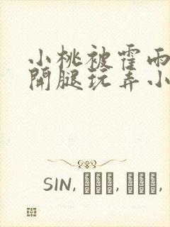 小桃被霍雨浩扒开腿玩弄小说封面
