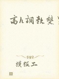 高h调教双男主