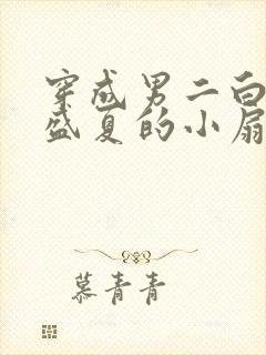 穿成男二白月光盛夏的小扇