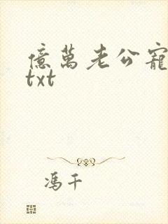 亿万老公宠上瘾txt