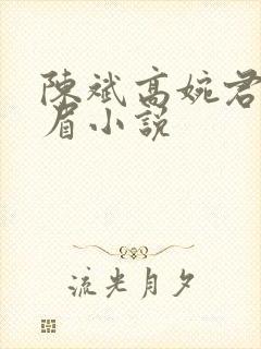 陈斌高婉君赵心眉小说