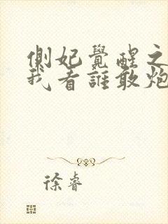 侧妃觉醒之后,我看谁敢炮灰我封面