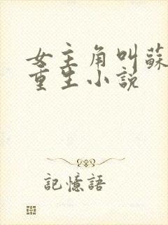 女主角叫苏洛的重生小说