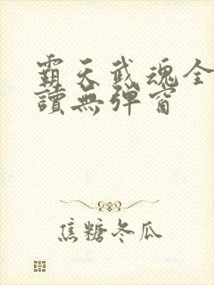 霸天武魂全文阅读无弹窗