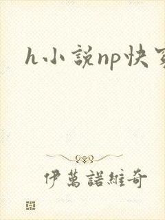 h小说np快穿