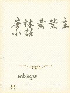 唐林黄莹主角的小说