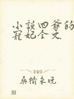 小说四爷的心尖宠妃全文封面