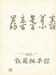 男主是贫寒书生的古言小说
