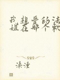 我亲爱的法医小姐在哪个软件看小说