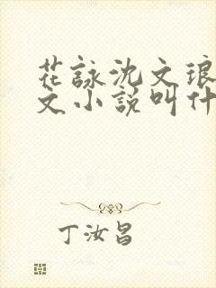 花咏沈文琅同人文小说叫什么名字