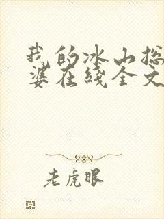 我的冰山总裁老婆在线全文阅读