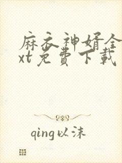 麻衣神婿全文txt免费下载