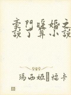 豪门暖婚之夫人说了算小说