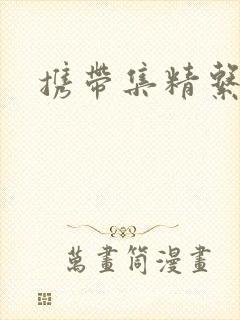携带集精系统