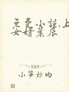 免费小说,上门女婿叶辰封面