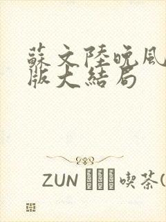 苏文陆晚风完整版大结局