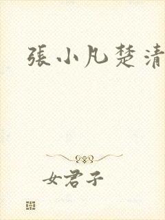 张小凡楚清璇
