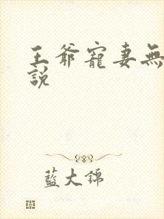 王爷宠妻无度小说封面