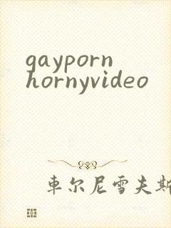 gaypornhornyvideo