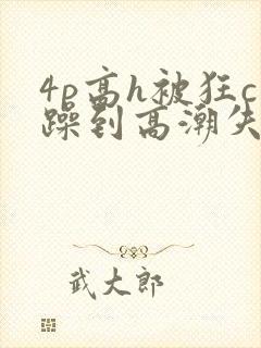 4p高h被狂c躁到高潮失禁文